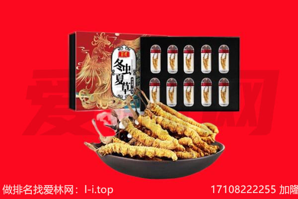 姜堰区回收虫草.jpg